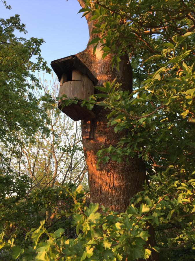 奥滕多夫Ferienhaus Scholien别墅 外观 照片